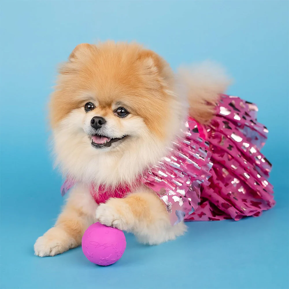 Doggy Parton Pink Butterfly Logo Rubber Ball (2 Pack)
